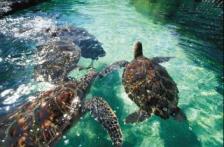 Maui top 10 iles du monde